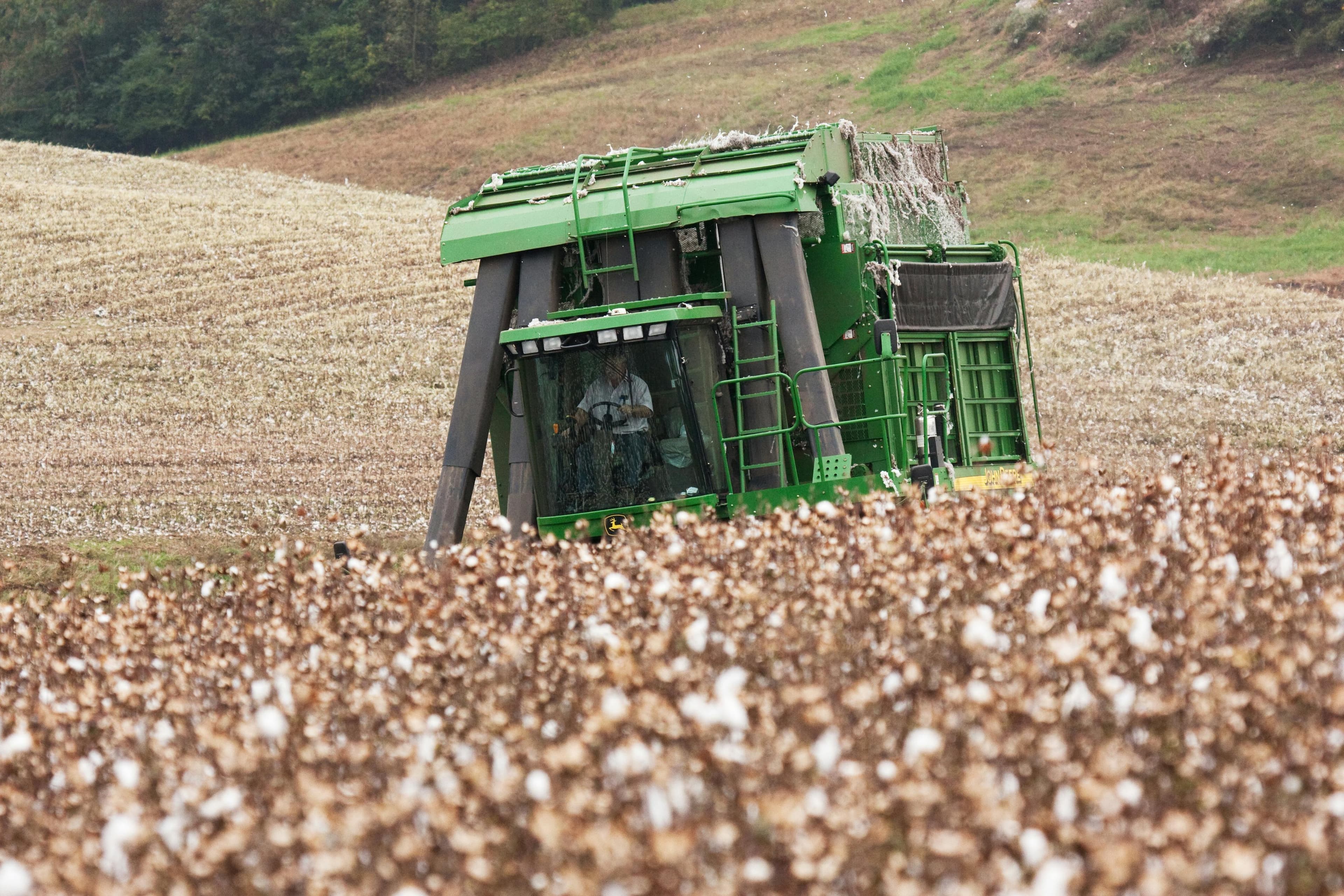 The Government Is Telling Americans to Choose Cotton Over Plastic. Here's What's Behind It.