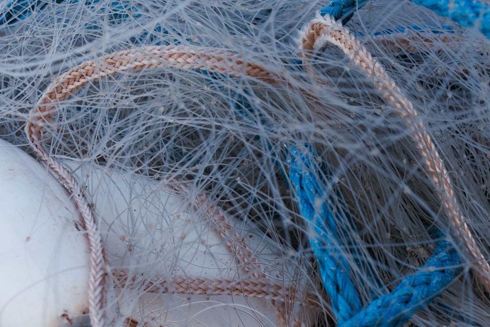 Nylon fiber, close up