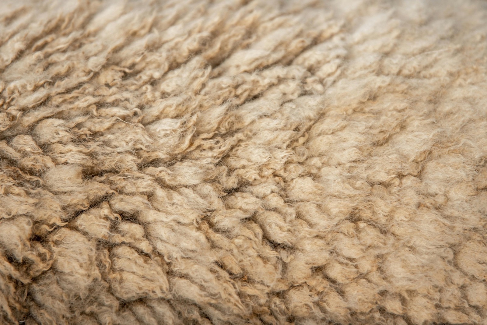 Merino Wool fabric