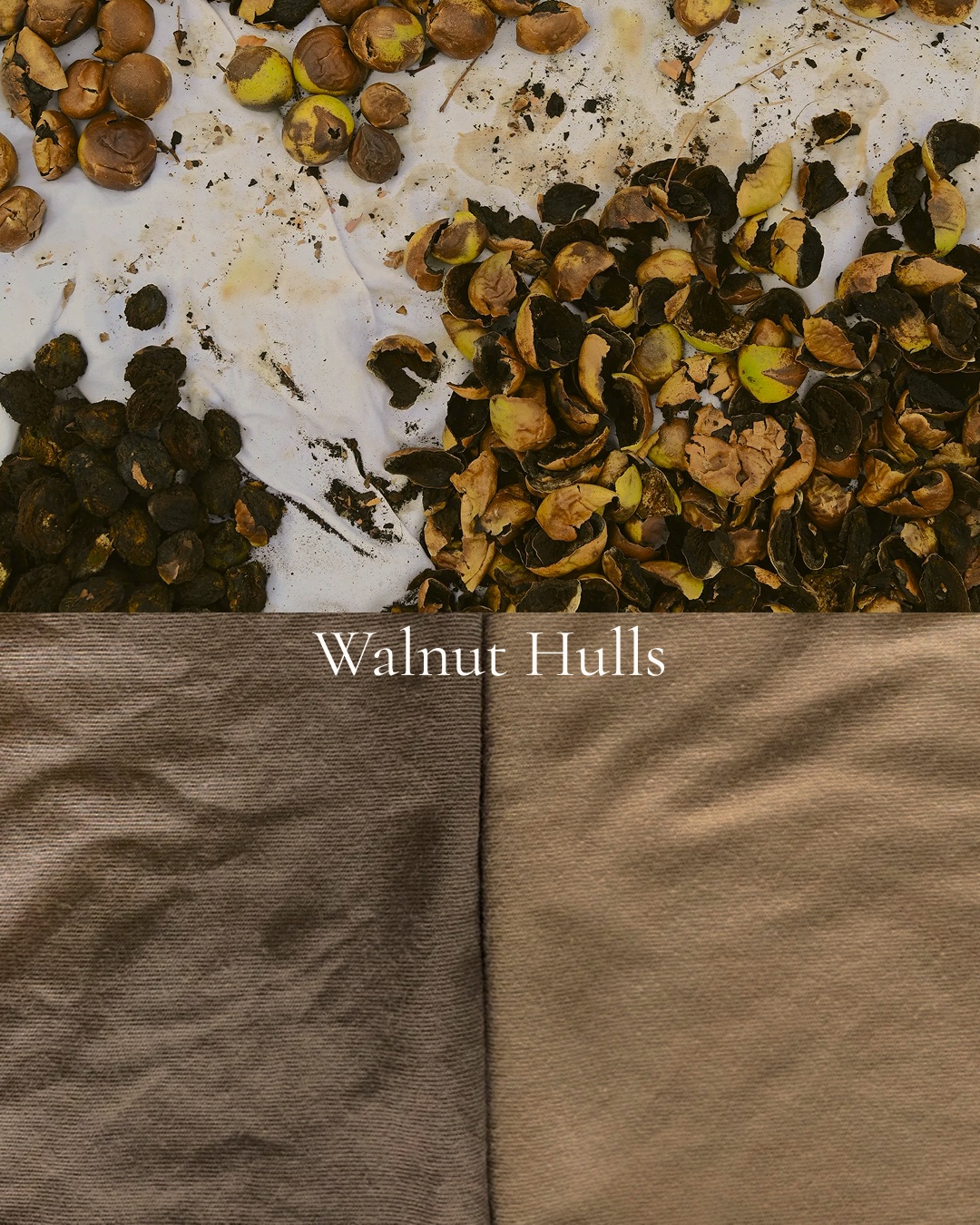 Black walnut husks drying on white cloth above, and two panels of walnut-dyed fabric in warm brown below.